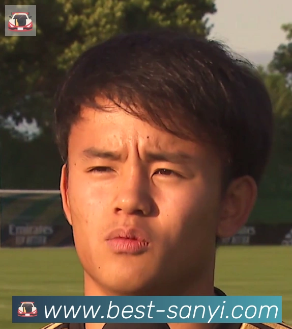 维尼修斯